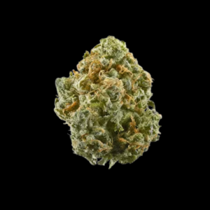 Apple Fritter