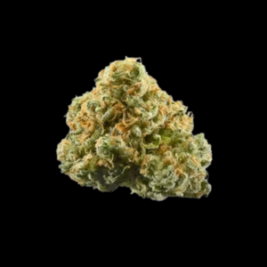 Gelato