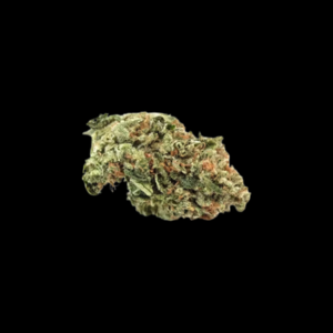 Motor Breath (Seeded)