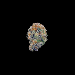 Purple Lemon Haze